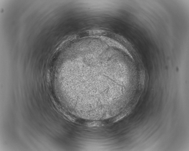 X0000086100761200704202241