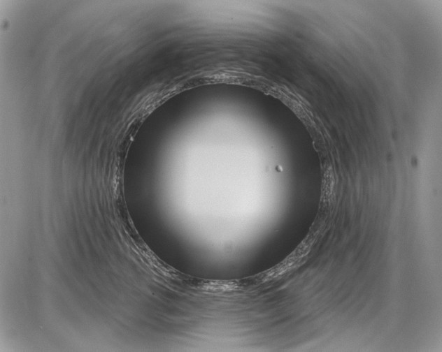X0000086100762200704202241