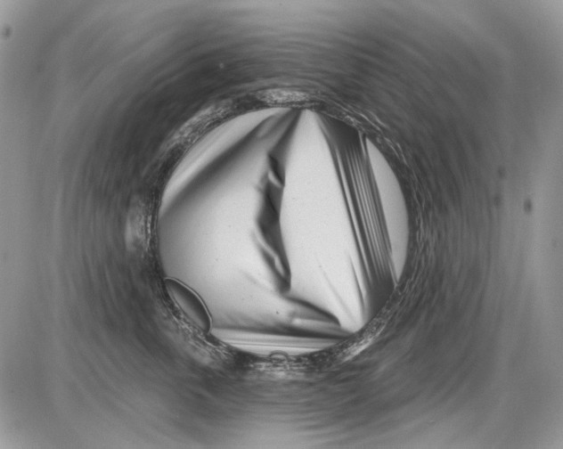 X0000086100763200704202241