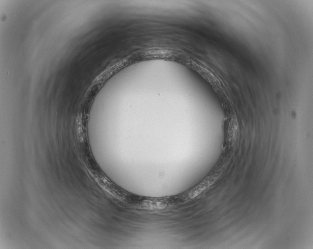 X0000086100764200704202241