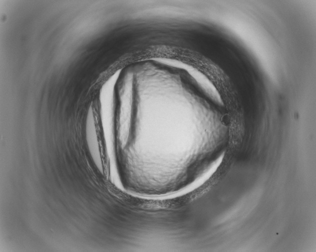 X0000086100765200704202241