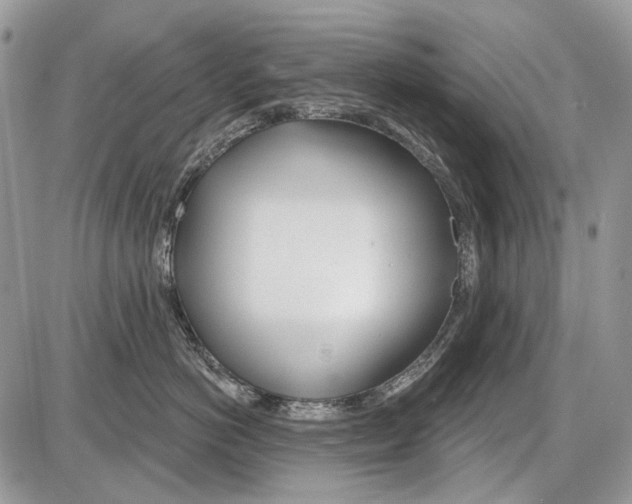 X0000086100766200704202241