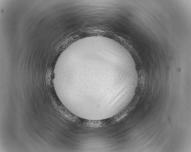 X0000086100767200704202241