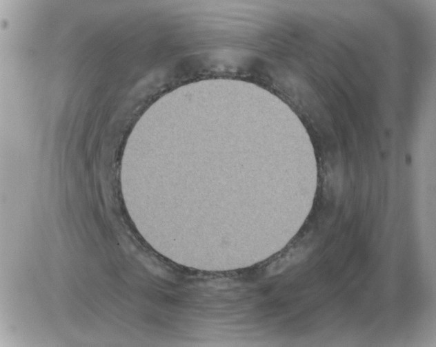 X0000086100769200704202240
