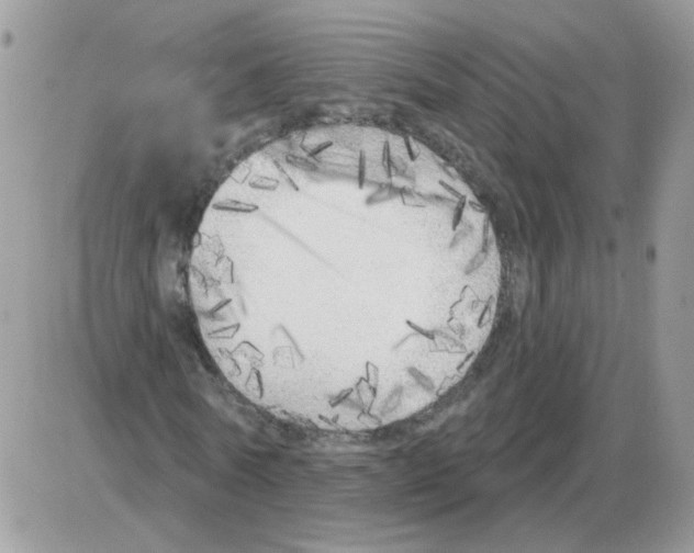 X0000086100770200704202240