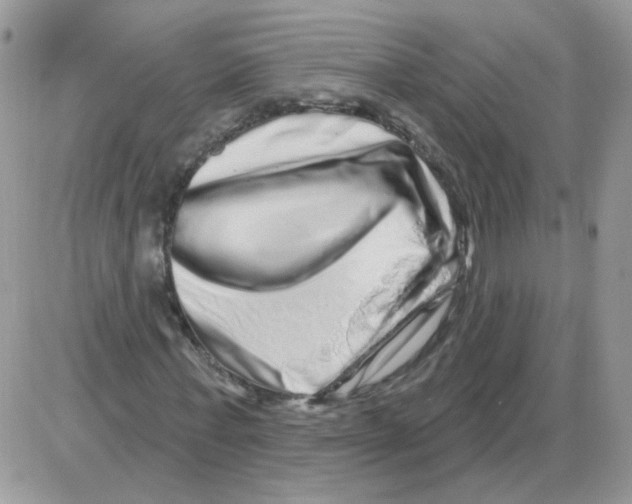 X0000086100771200704202240