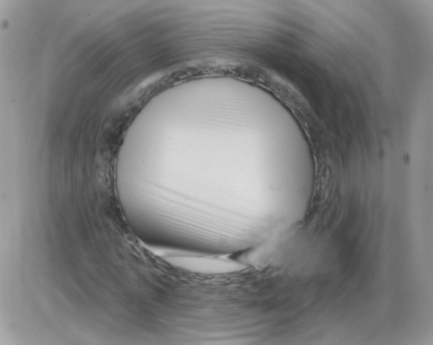 X0000086100773200704202240