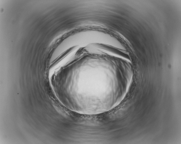 X0000086100775200704202240