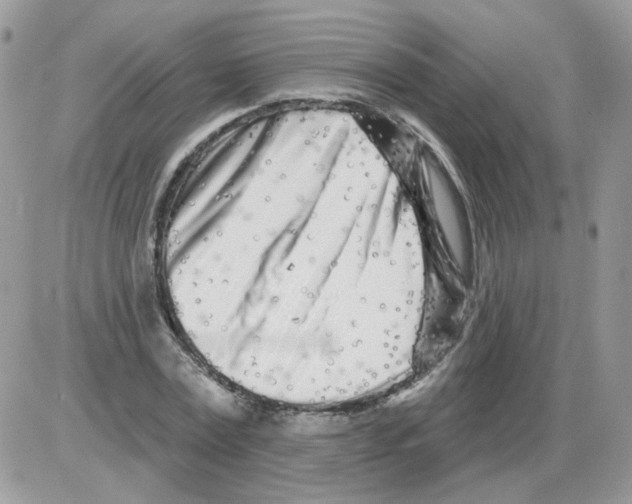 X0000086100779200704202240