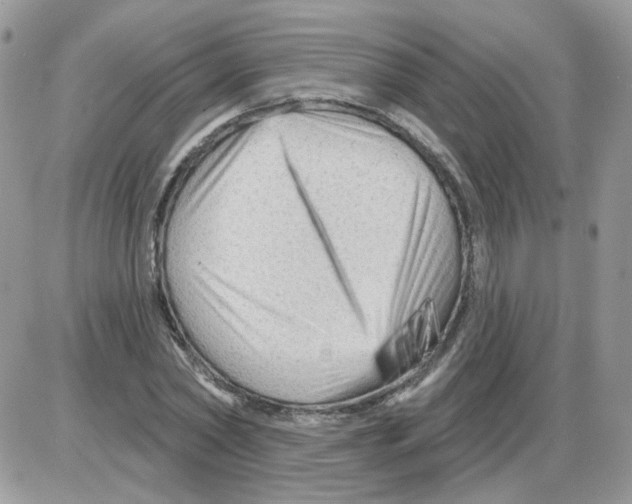X0000086100782200704202240