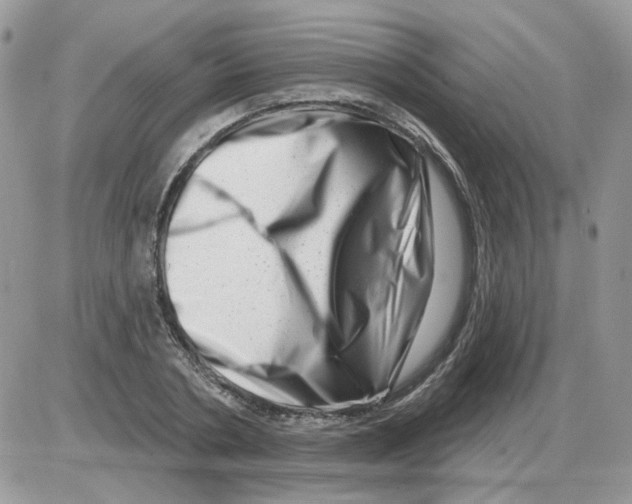 X0000086100786200704202240