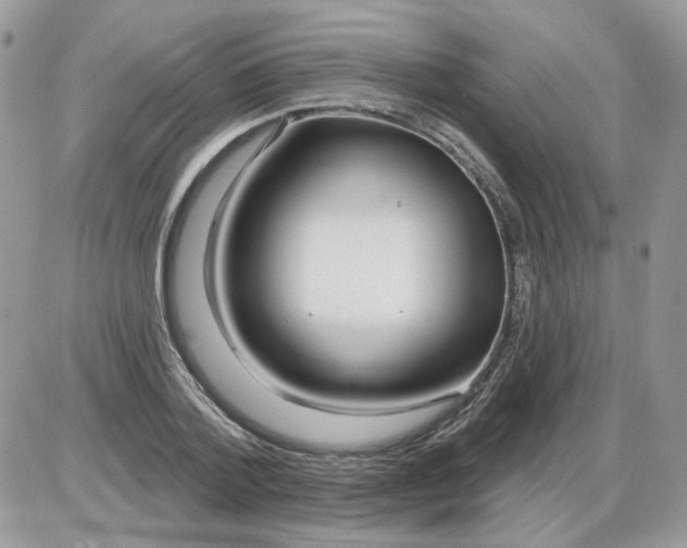 X0000086100788200704202240