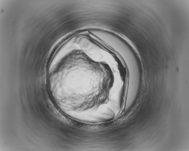 X0000086100791200704202240