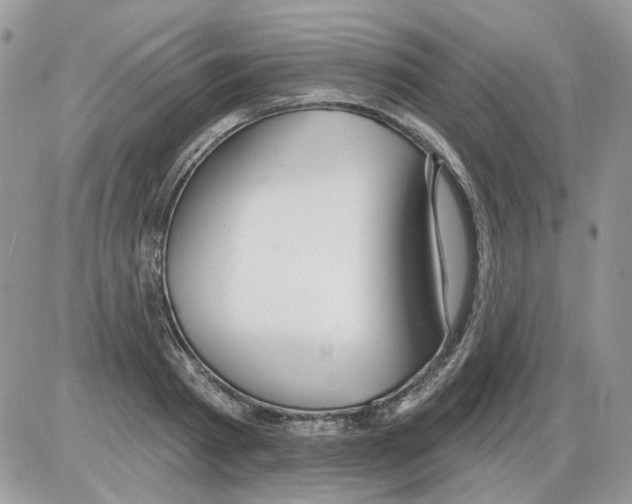 X0000086100793200704202240