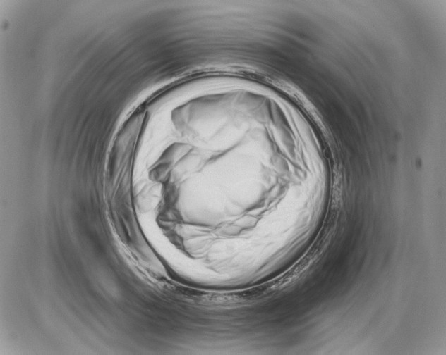 X0000086100795200704202240