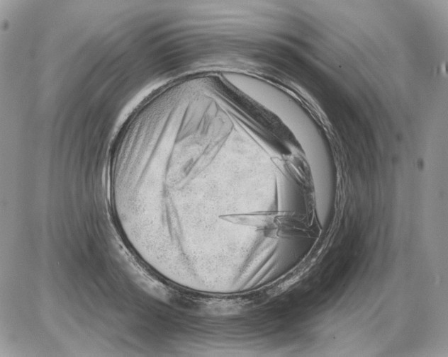 X0000086100796200704202240