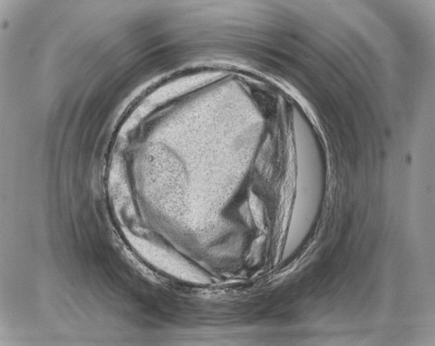 X0000086100799200704202240