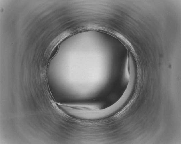 X0000086100801200704202239