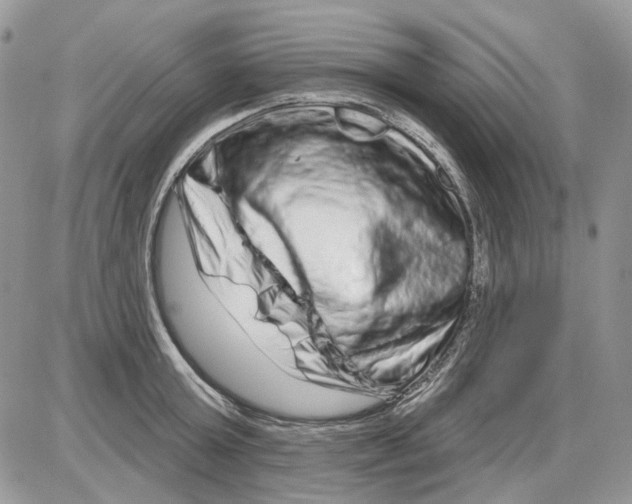 X0000086100803200704202239