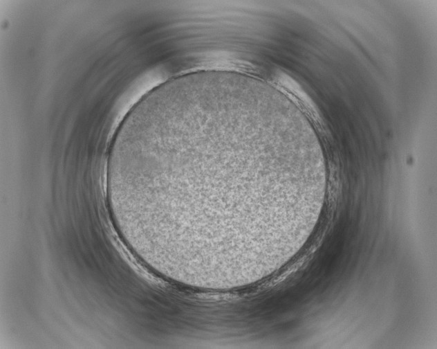 X0000086100804200704202239