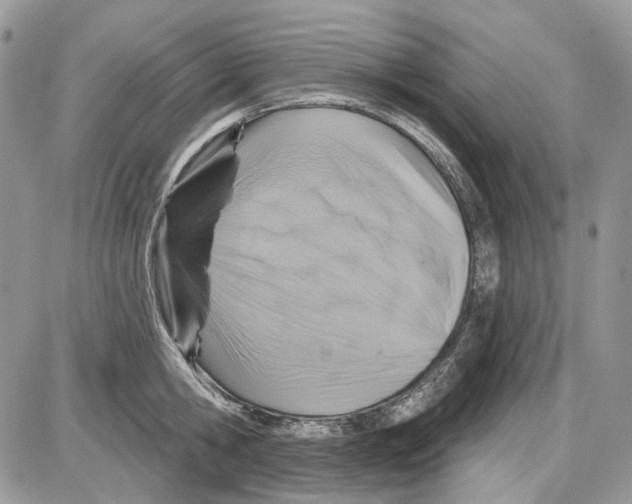 X0000086100806200704202239