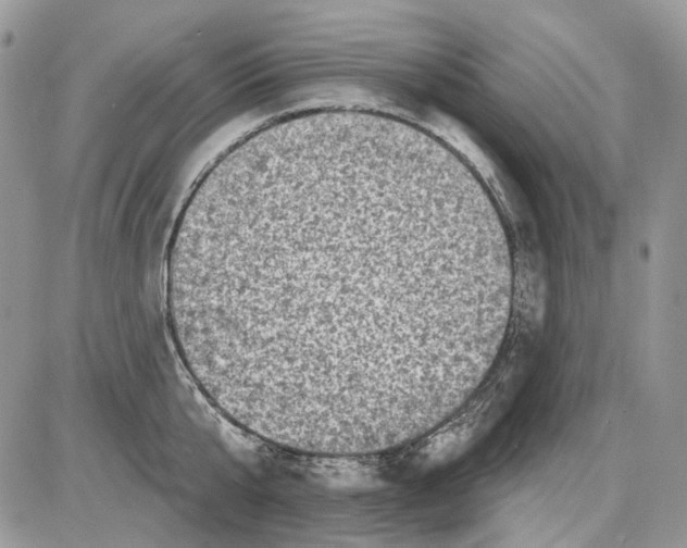 X0000086100807200704202239