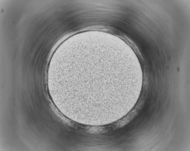 X0000086100808200704202239