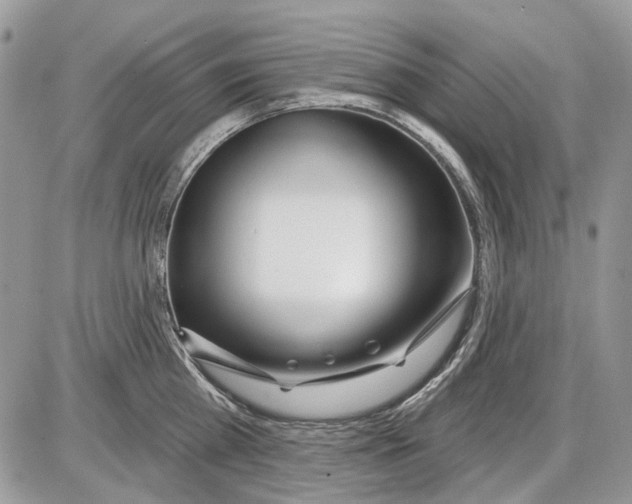 X0000086100809200704202239