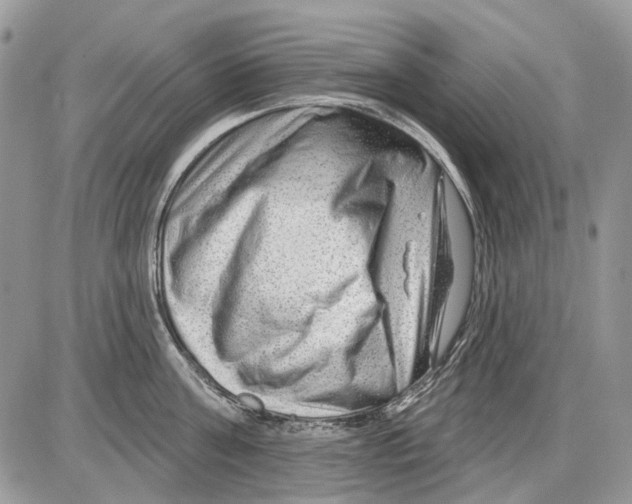 X0000086100811200704202239