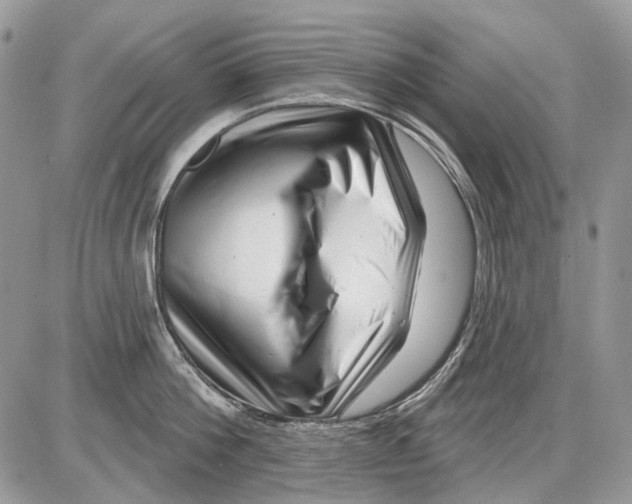 X0000086100812200704202239