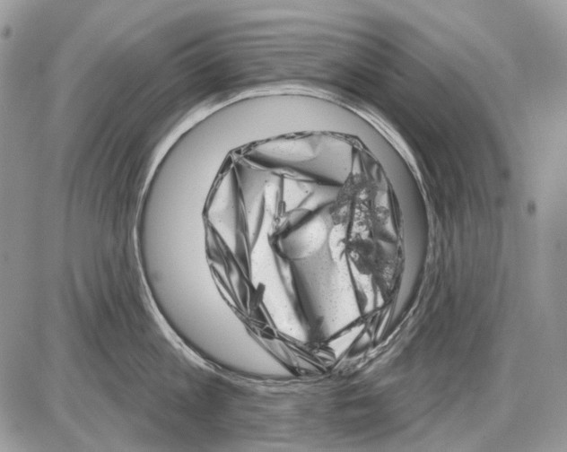 X0000086100813200704202239