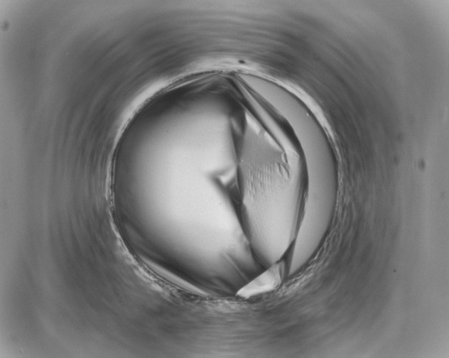 X0000086100815200704202239