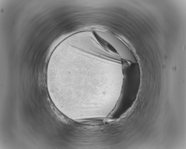 X0000086100816200704202239
