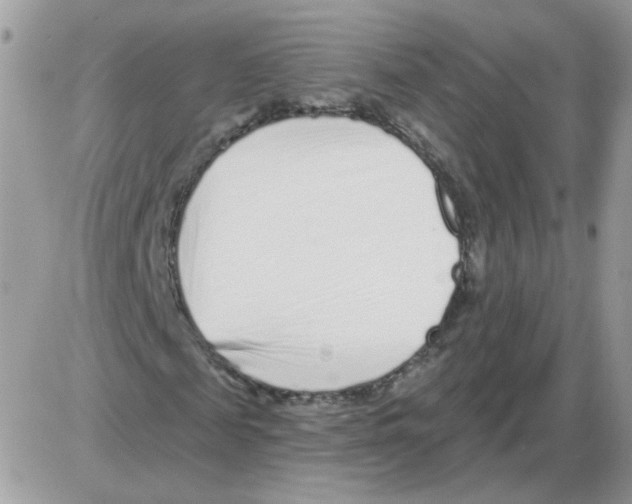 X0000086100817200704202238