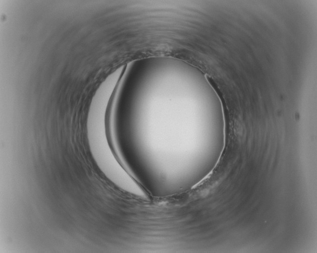 X0000086100818200704202238