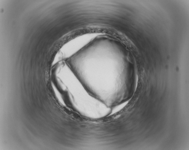 X0000086100821200704202239