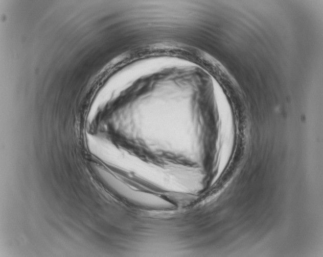 X0000086100825200704202239
