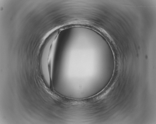 X0000086100830200704202239