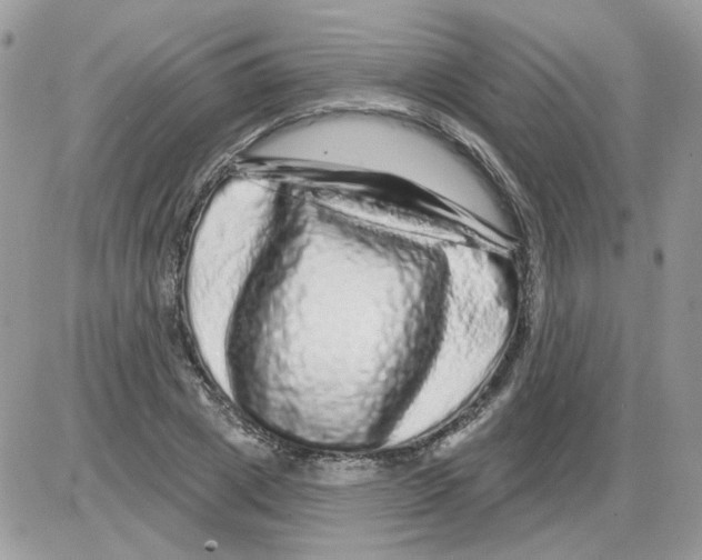 X0000086100833200704202239
