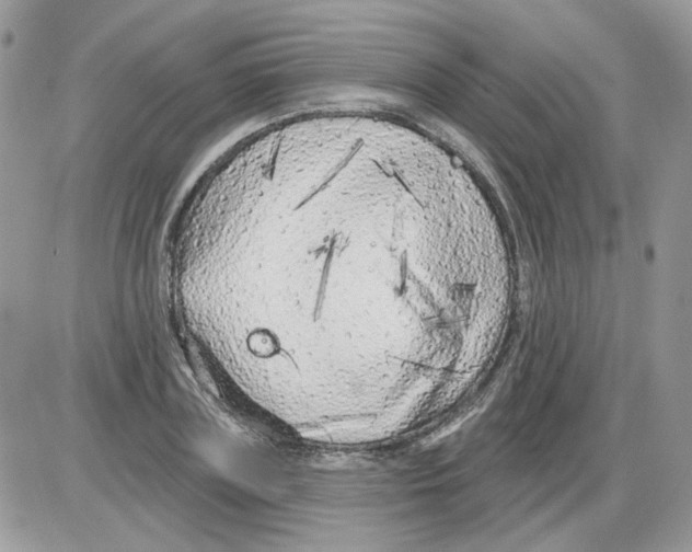 X0000086100835200704202239