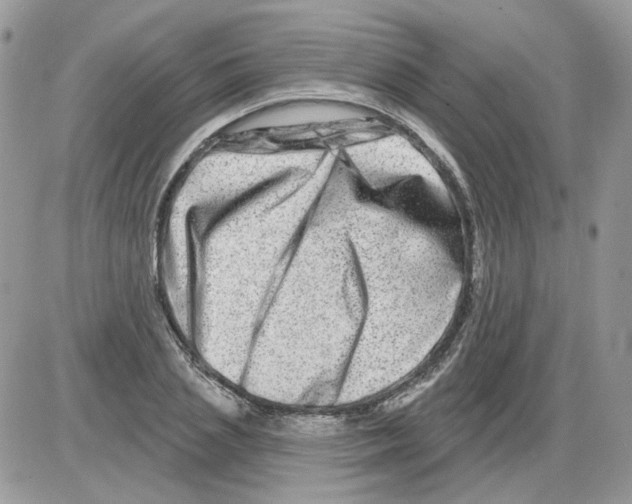 X0000086100837200704202239