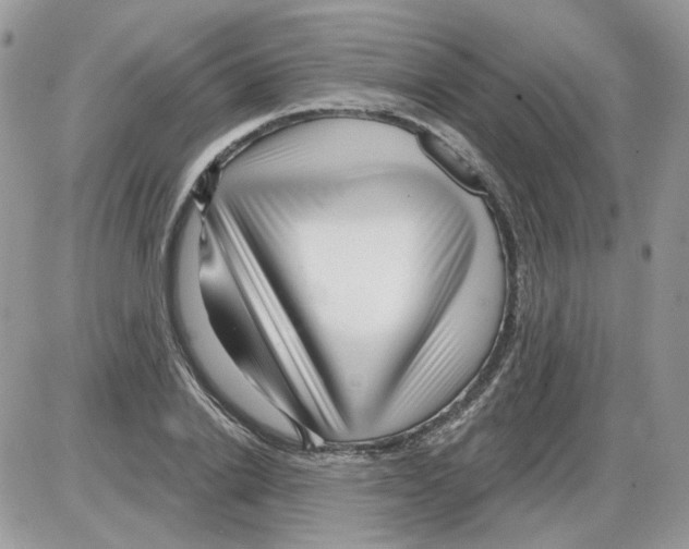 X0000086100838200704202239