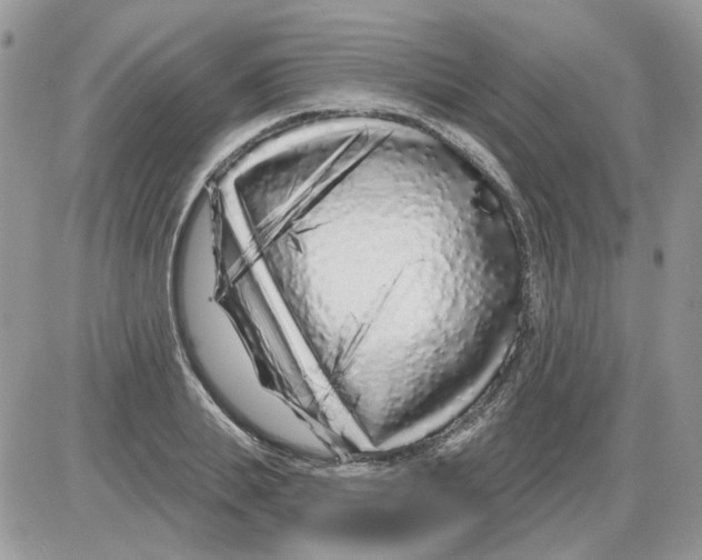 X0000086100839200704202239