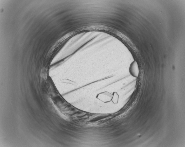 X0000086100841200704202239