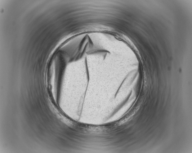 X0000086100843200704202239