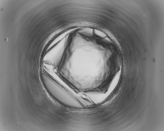 X0000086100845200704202239