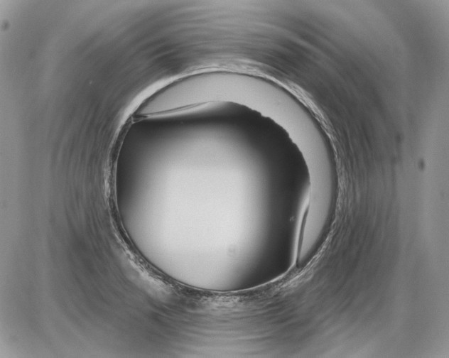 X0000086100846200704202239