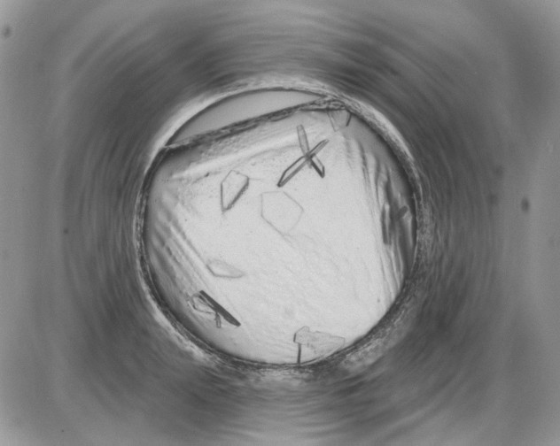 X0000086100847200704202239