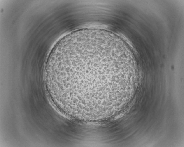 X0000086100848200704202239
