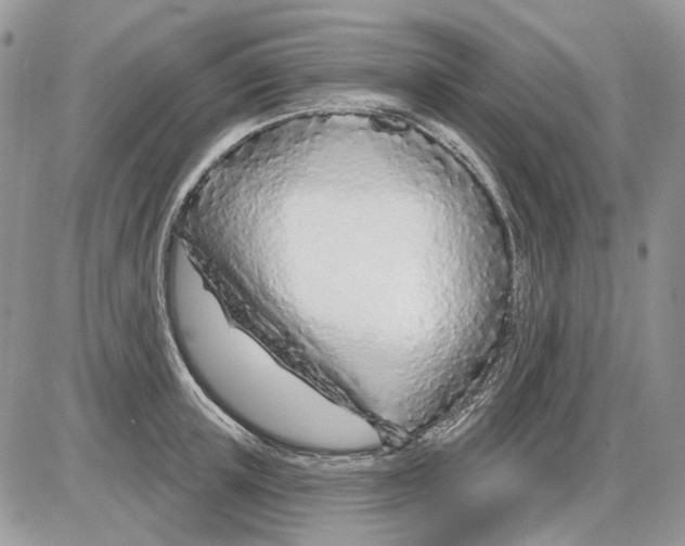 X0000086100851200704202239